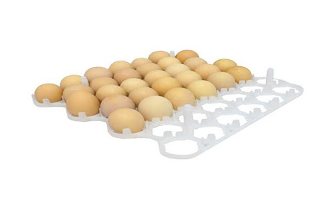 تصویر 5 از خرید و فروش شانه تخم بوقلمون جوجه کشی با شرایط فوق العاده